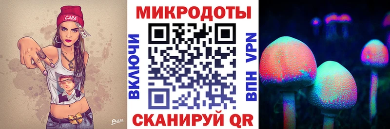 Купить где  Медногорск  Галлюциногенные грибы GOLDEN TEACHER 